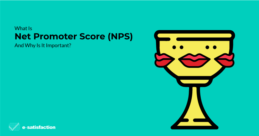 What is Net Promoter Score (NPS)